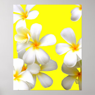 Poster Plumeria blanche hawaïenne jaune fleur