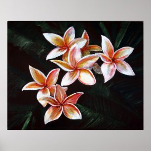 Poster Plumeria bronzage