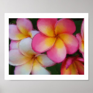 Poster Plumeria Frangipani Fleurs Aquarelle Croquis