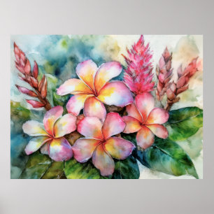 Poster Plumeria hawaïenne et gingembre rose