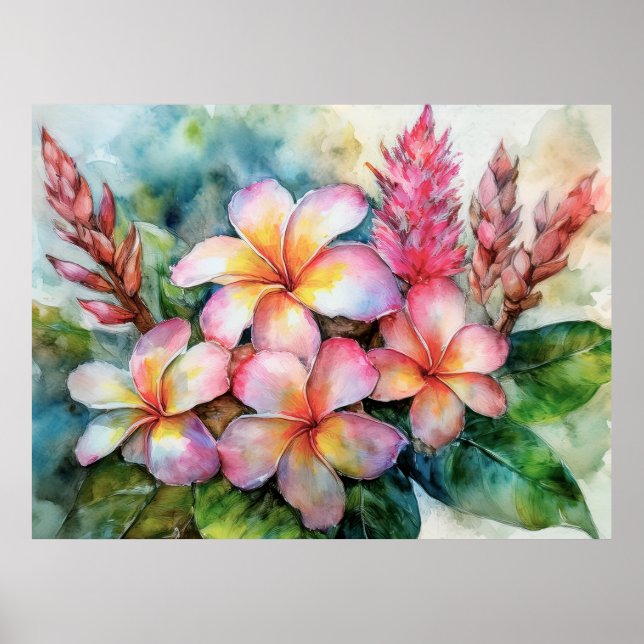Poster Plumeria hawaïenne et gingembre rose (Devant)