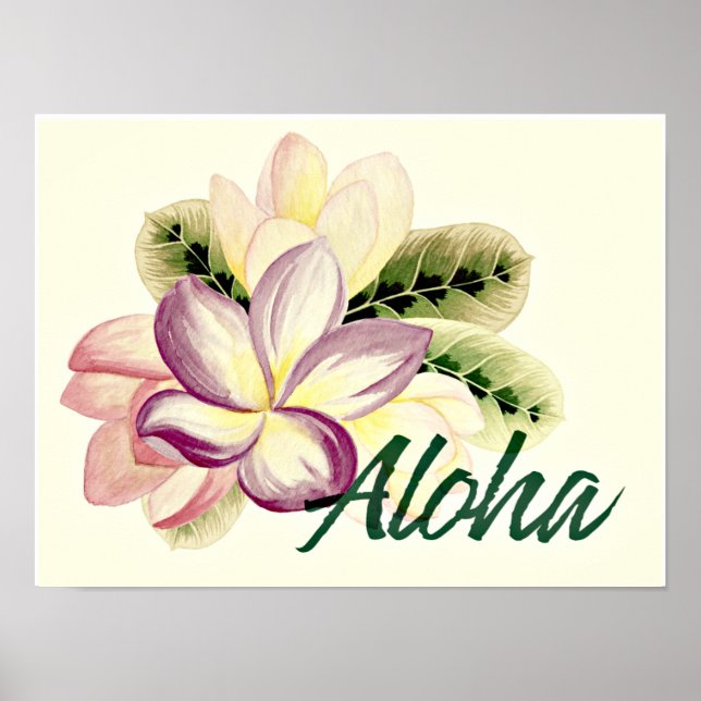 Poster Plumeria vintage Aloha (Devant)