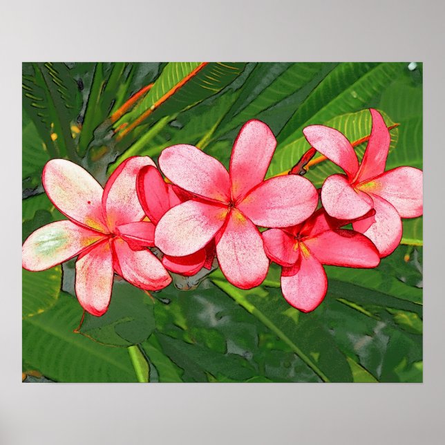 Poster Plumerias (Devant)
