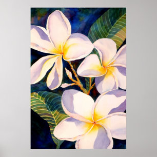 Poster Plumerias embrasés