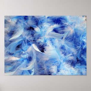 Poster Plumes