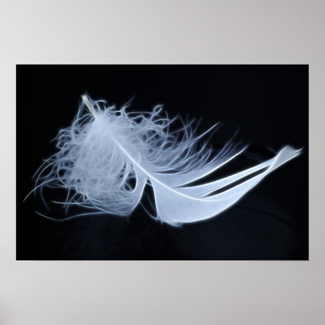Poster Plumes blanches - angélique par nature (Devant)