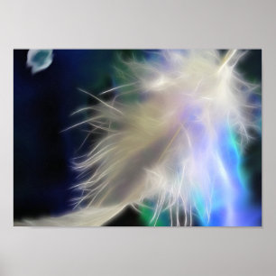 Poster Plumes d'ange