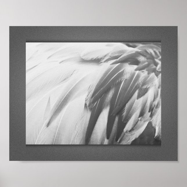 Poster Plumes de Flamant rose monochrome Art imprimable (Devant)