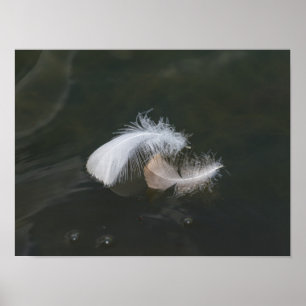 Poster Plumes d'oie flottantes