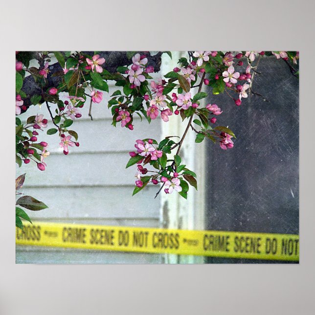 Poster Plutôt moche (Devant)