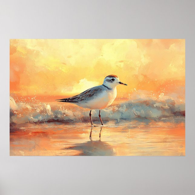 Poster Pluvier debout dans les vagues de l'océan au couch (Devant)