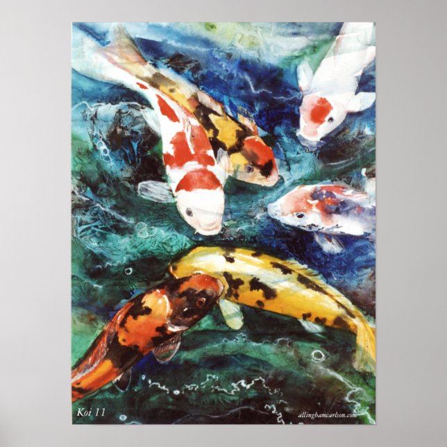 Poster PMACarlson Koi 11 (Devant)