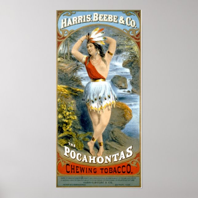 Poster Pocahontas Amérindien Maiden (Devant)