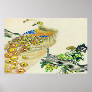 Poster Poche à pied Peacock Dessin 1