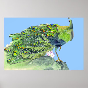 Poster Poche à pied Peacock Dessin 2