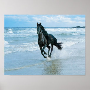 Poster Poche en toile cheval noir