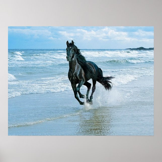 Poster Poche en toile cheval noir (Devant)