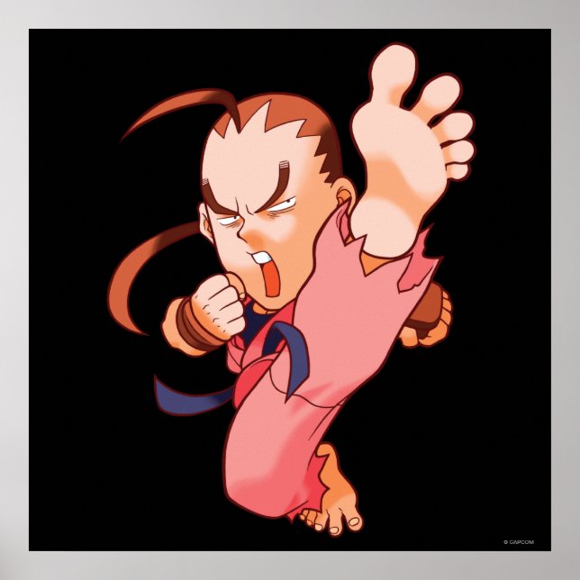 Poster Pocket Fighter Dan 2 (Devant)
