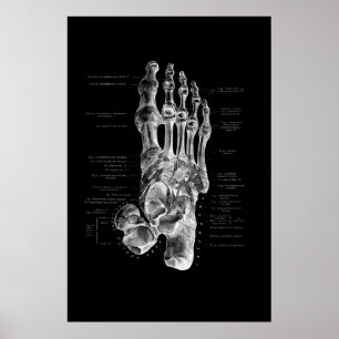 Poster Podiatriste d'anatomie de pied Décor Médicale