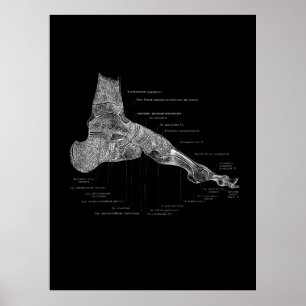 Poster Podiatriste de pied Anatomie cadeau Décor Médicale