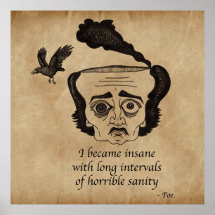 Poster Poe fou
