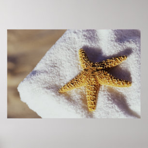 Poster Poêle Sur Serviette