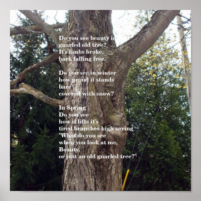 Poster Poème d'arbre nu pour la Journée de l'Arbor (Devant)