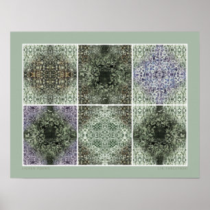 Poster Poèmes Lichen