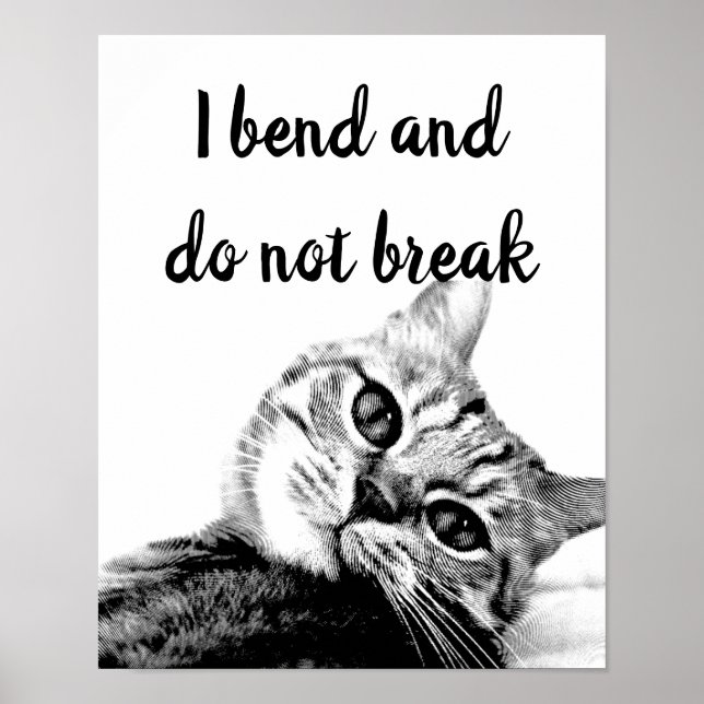 Poster Poètes de chat Jean de La Fontaine Je plie pas (Devant)