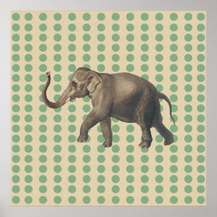 Poster Poids d'épices à feuilles de baie avec éléphant