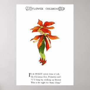 Poster Poinsettia