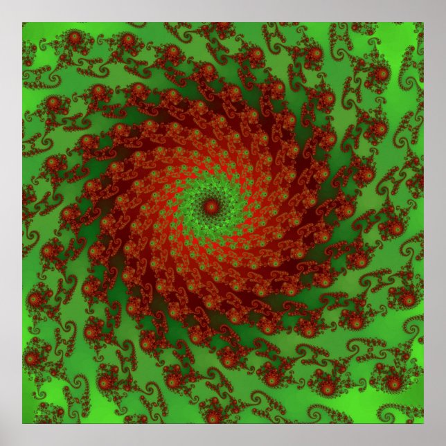 Poster Poinsettia (Devant)