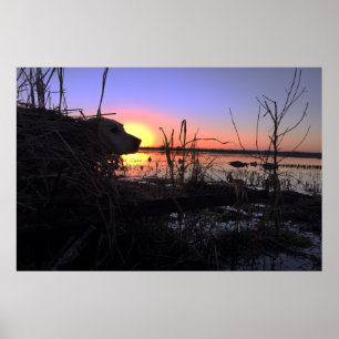 Poster Point dans l'Arkansas Duck Blind