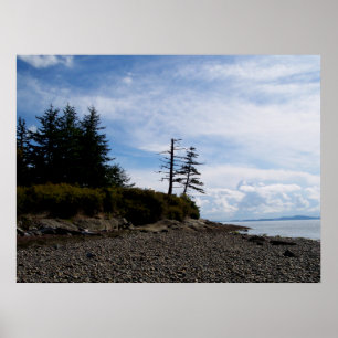 Poster Point de deux arbres