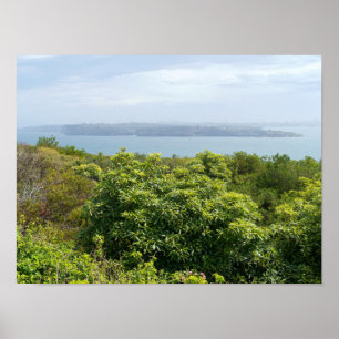 Poster point de vue sur la baie de sydney depuis manly