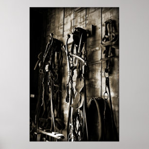 Poster Pointe occidentale