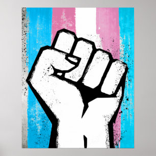 POSTER POINTE TRANS