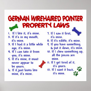 POSTER POINTER À POILS DURS ALLEMAND PL2