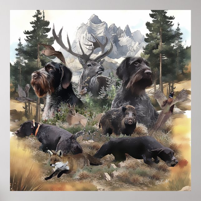 Poster Pointeur À poils durs allemand (Devant)