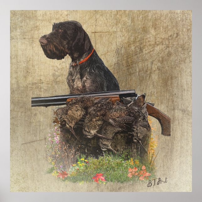 Poster Pointeur À poils durs allemand avec boîte cadeau e (Devant)