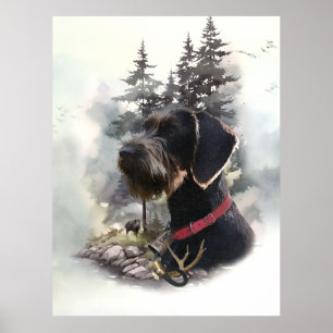 Poster Pointeur À poils durs allemand, GWP