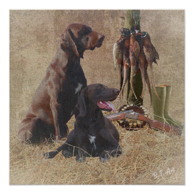 Poster Pointeurs germains (GSP) (Devant)