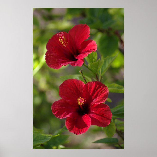 Poster Pointez sur le chemin (Devant)