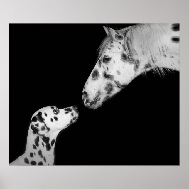 Poster pointillé (Devant)