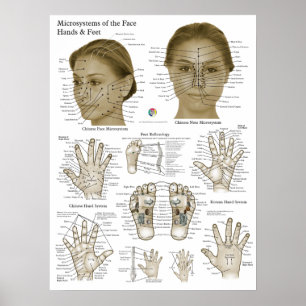 Poster Points d'acupression Visage Main Pieds