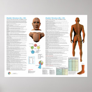 Poster Points d'acupuncture du méridien de la vessie
