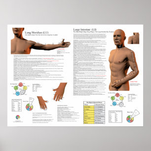 Poster Points d'acupuncture du méridien du poumon