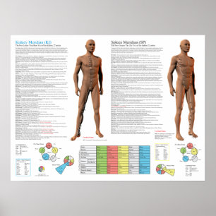 Poster Points d'acupuncture du méridien du rein