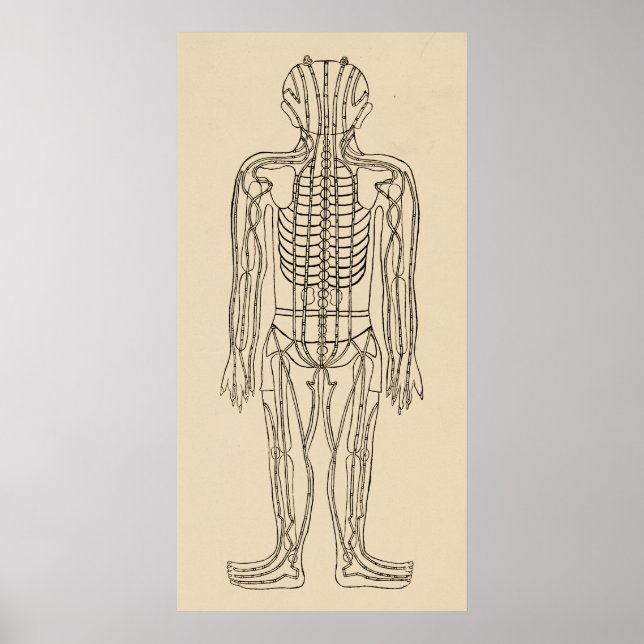 Poster Points d'acupuncture vintage (Devant)