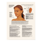 Points de rajeunissement du visage de l'acupunctur